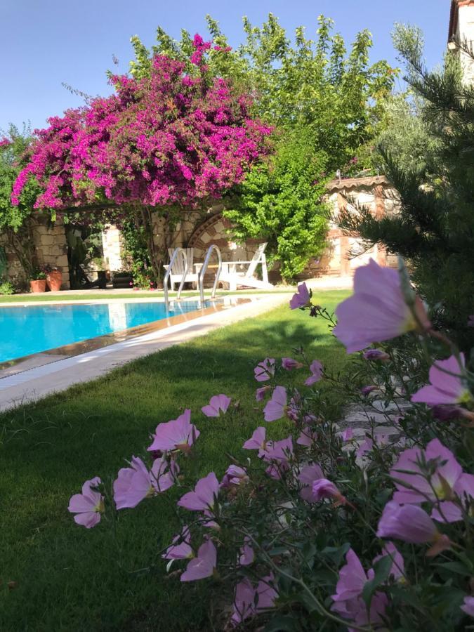 Alacati Zeytin Konak Hotel エクステリア 写真