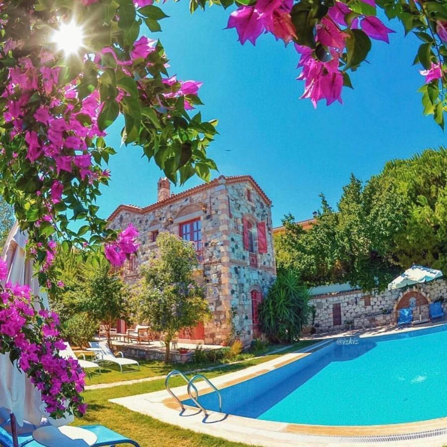 Alacati Zeytin Konak Hotel エクステリア 写真