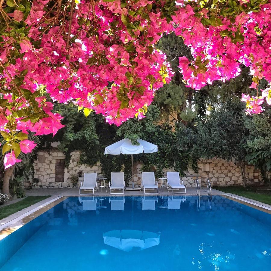 Alacati Zeytin Konak Hotel エクステリア 写真