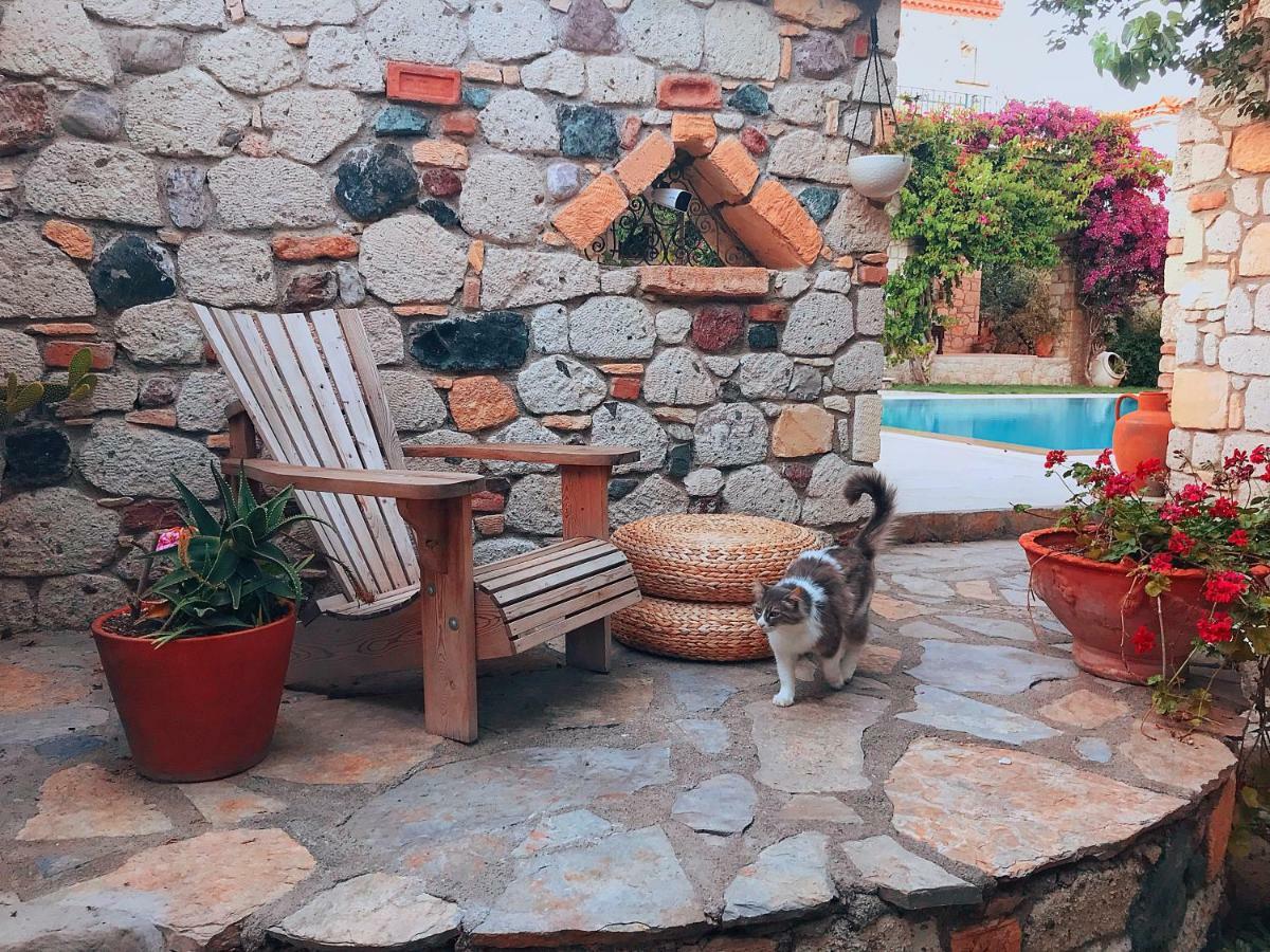 Alacati Zeytin Konak Hotel エクステリア 写真